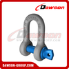 Dawson Brand Hot Dip Galvanized US Type Chain Shackle with Screw Pin, High Strength S6 Screw Pin Dee Shackle