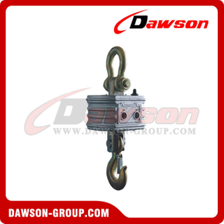 DS-CS19 5-20 ton Wireless Type Crane Scale