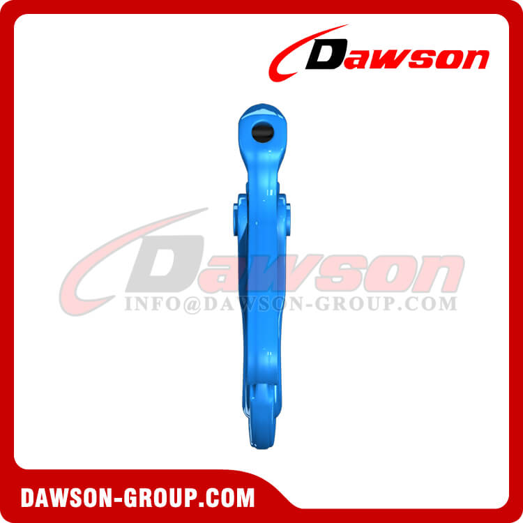 DS1017 G100 Special Clevis Self-locking Hook with Grip Latch for Chain Slings