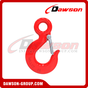 DS629 Eye Hoist Hook