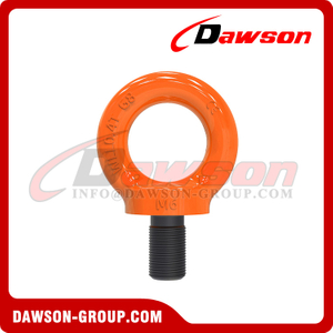  DS054 G80 Eye Screw for Lifting Point