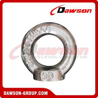 Stainless Steel 316 Drop Forged DIN582 Lifting Eye Nut